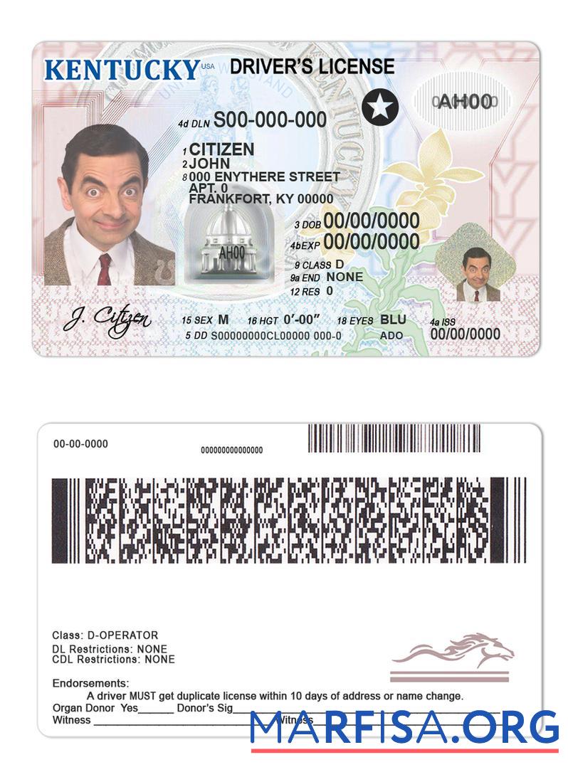 Blank USA Kentucky driving license real example